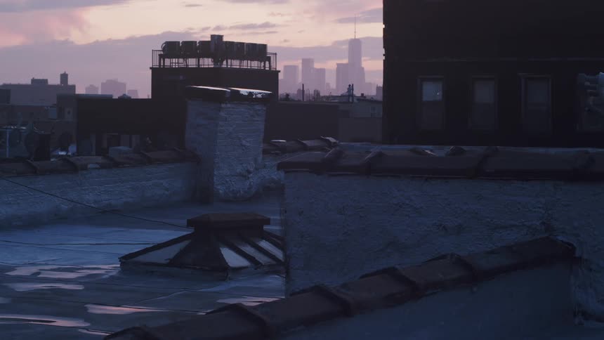 Rooftops of a building in front of the city skyline at sunset
