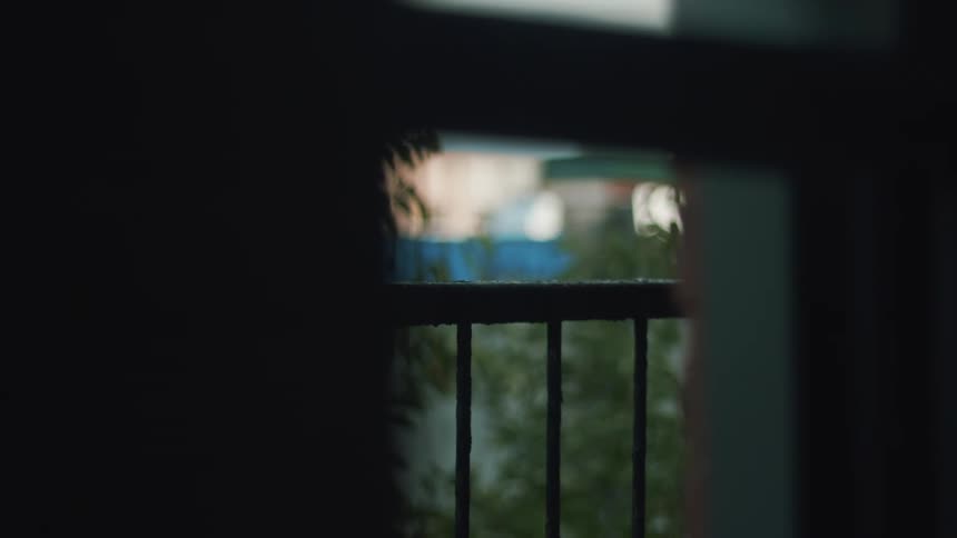 Backyard seen behind an iron fence through a narrow space on the window