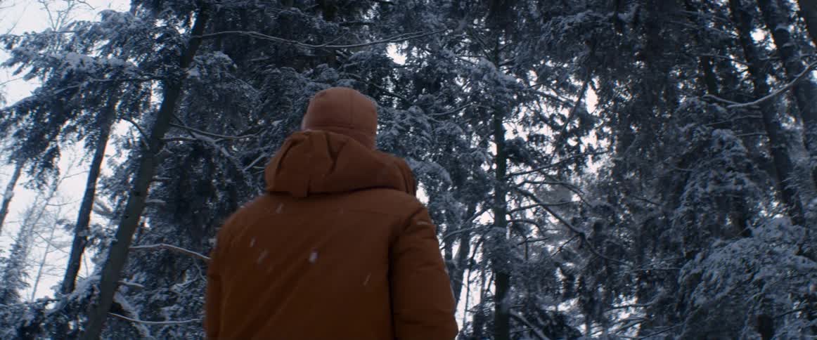 Man with brown hat and coat looks up at tall trees while snowing in the snowy forest