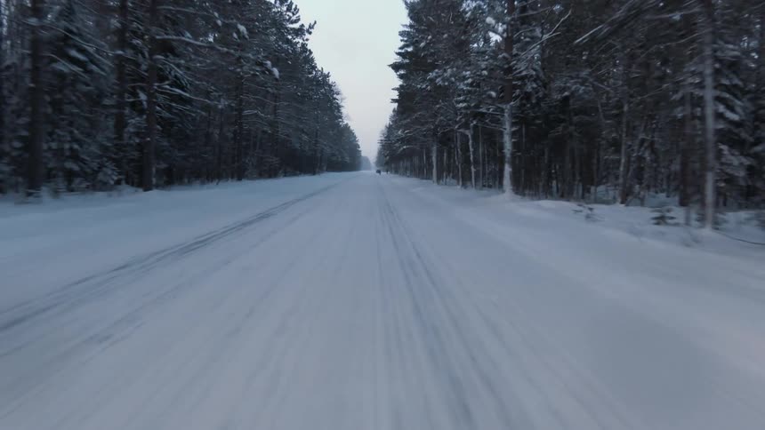 Driving on a rural road through the snow covered pine tree forest at morning