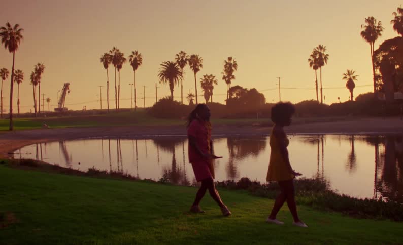 Couple dancing in front of a lake in a park next to palm trees at sunset caught on vintage film