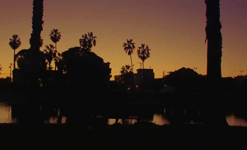 Silhouette of houses on a neighborhood in front of a lake at sunset