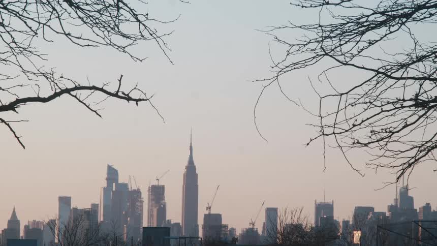 A view through trees of tall city buildings in the distance