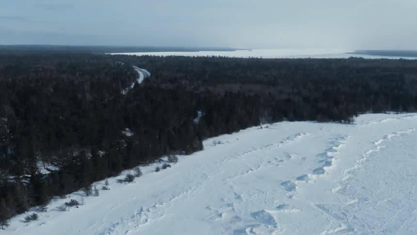 Aerial view of a large pine tree forest on the frozen plains at winter