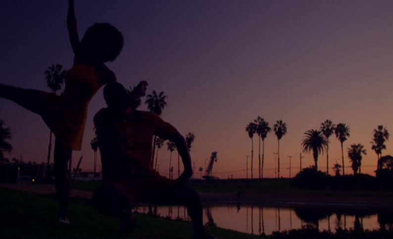 Couple dancing in front of a lake in a park next to palm trees at sunset caught on vintage film