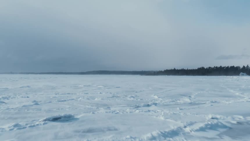 Snow coatsflat area bordering forest under an overcast sky
