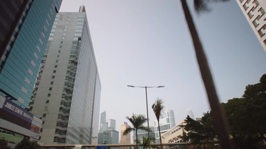 Palm trees on the middle of the street surrounded by skyscrapers at morning