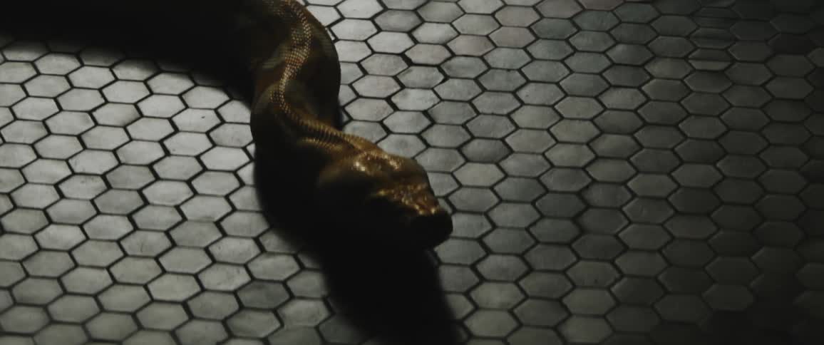 Snake crawling on the floor flicking its tongue on dimly lit room