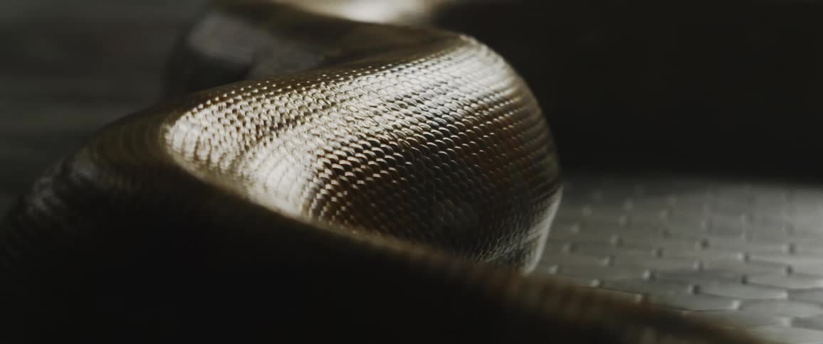 Large constrictor moves across tiled floor