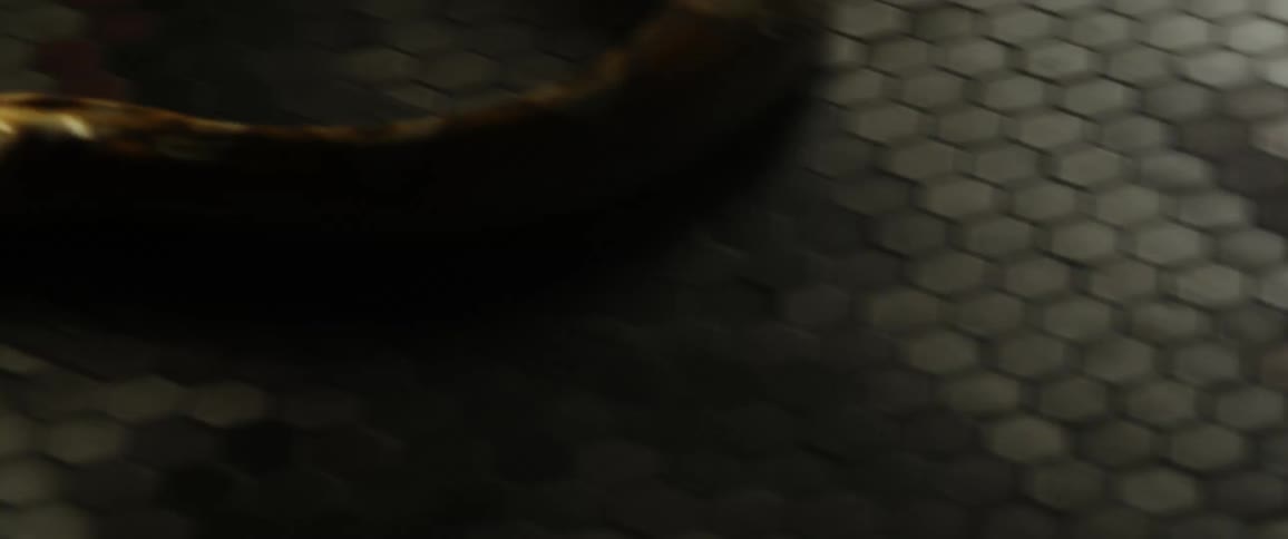 A snake is slithering on the ground in a room