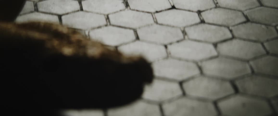 Large constrictor slithers across tiled floor flicking its tongue