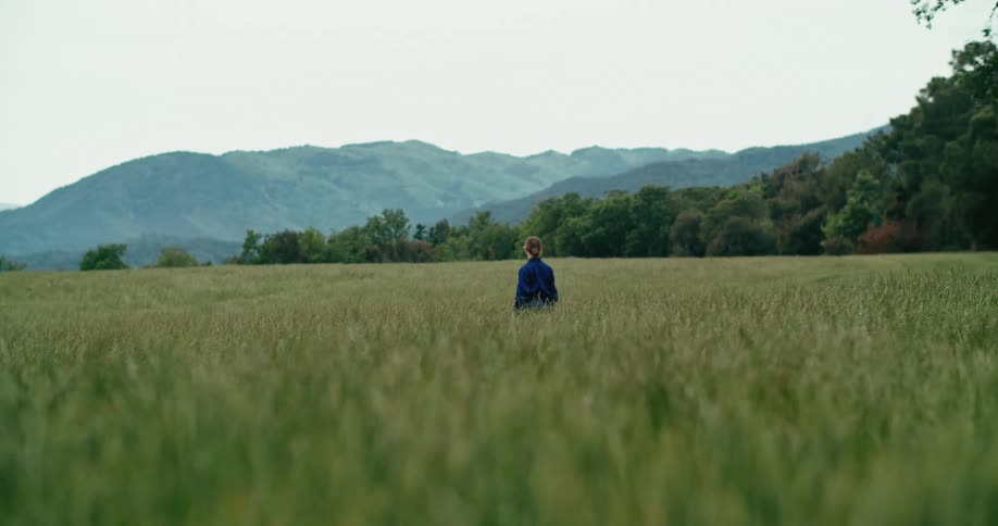 A man stands in a grassy field and looks towards some hills as two dogs go running to him