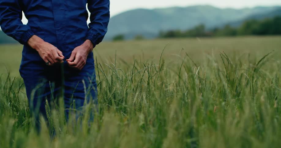 Person wearing overalls stands in meadow backed by misty mountains