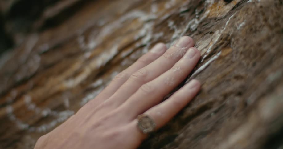 A man slides his hand down a tree caressing the place where a diagram has been drawn in white chalk