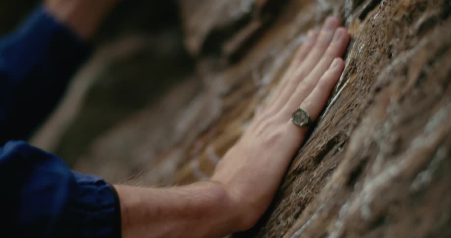 A person touches the side of a tree