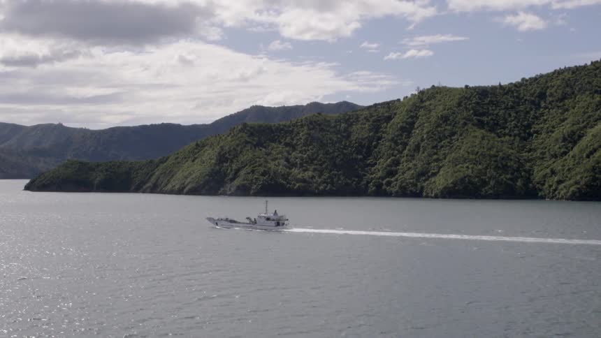 A large boat is moving along a tree covered hillside