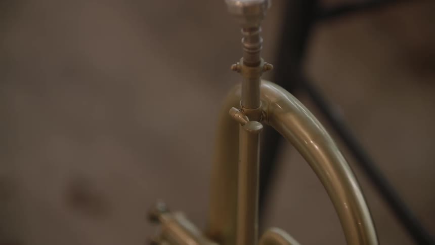 The mouthpiece and valves of a horn are shown