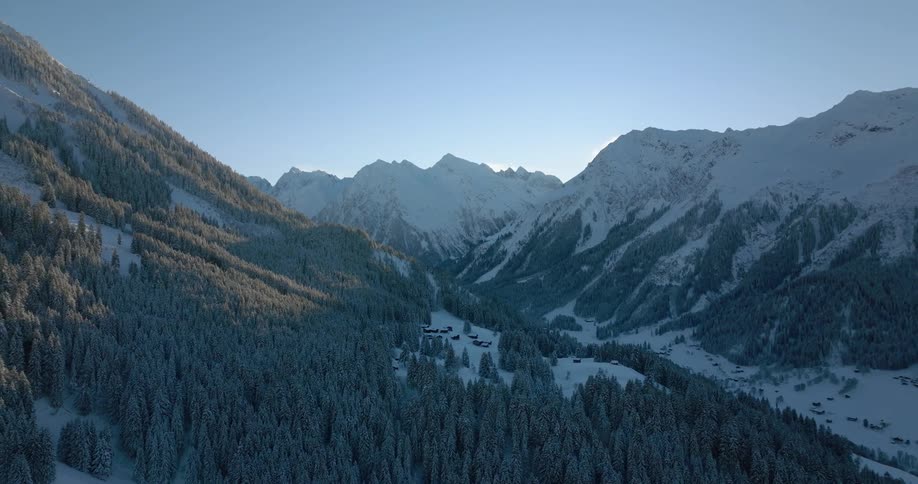 Snow covered forest on a mountainside as the sun shines over mountains in the distance