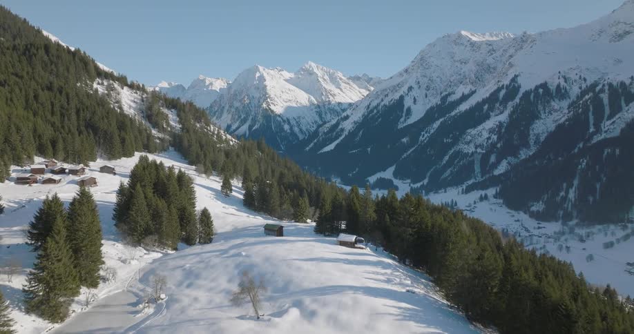 Aerial view over a forest of trees on a snow covered mountain and a snow covered mountain range in the distance