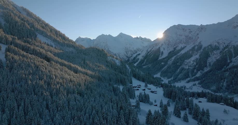 Snow covered forest on a mountainside as the sun shines near mountains in the distance