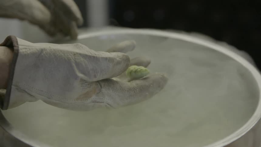 A gloved hand scoops food from a bowl