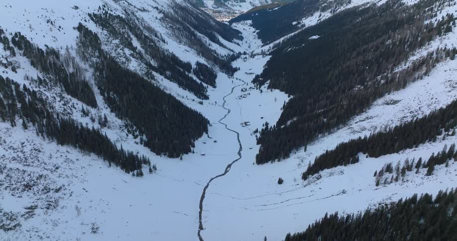 An aerial view of trees in a valley in a mountain range