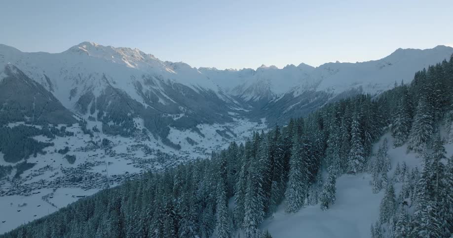Aerial view of a pine tree forest covered with snow on the slopes of a mountain range at morning