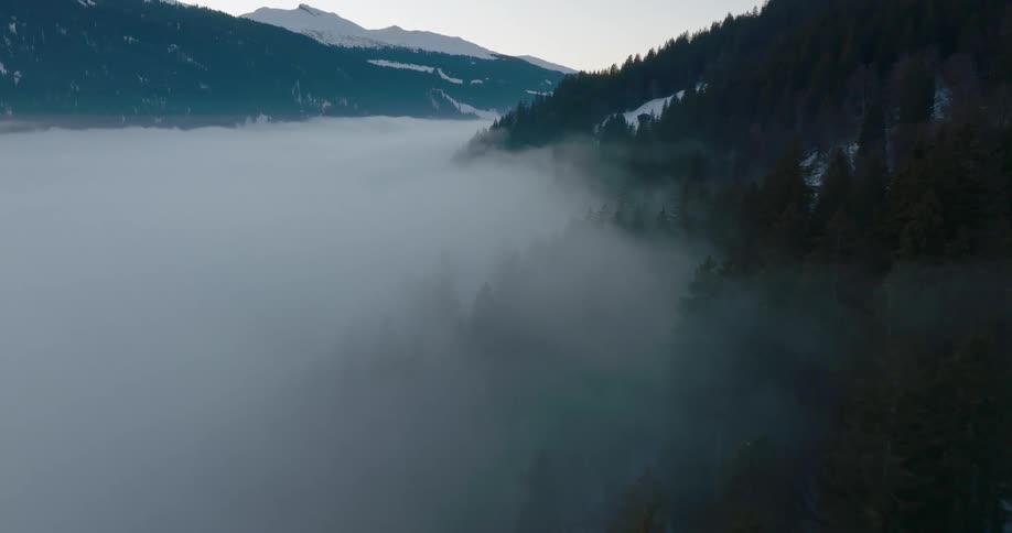 Thick fog rises in a mountain valley below a forest and snow covered mountains