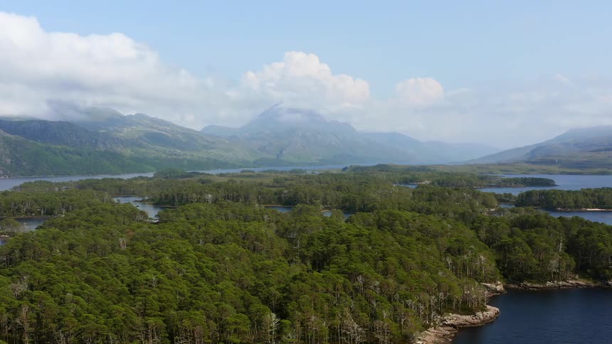 The islands are covered with trees