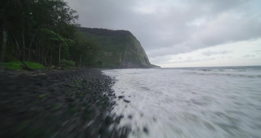 Many trees are along the shoreline and waves splash and foam as they roll in