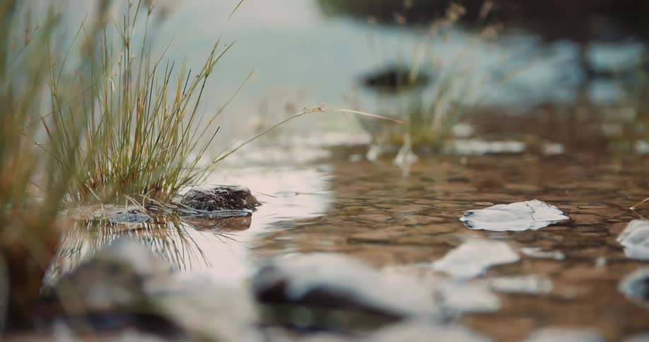 River rocks are visible through still and clear water