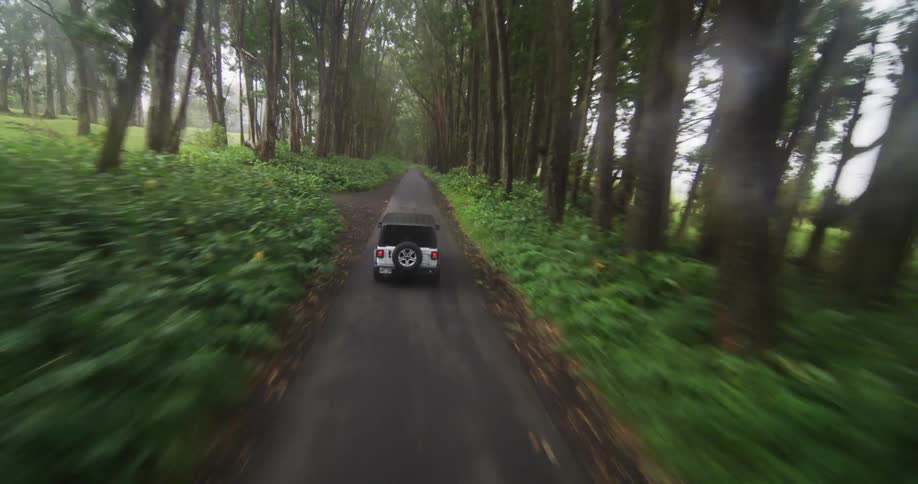 A jeep travels on a country road lined with trees as the sun shines brightly in the sky