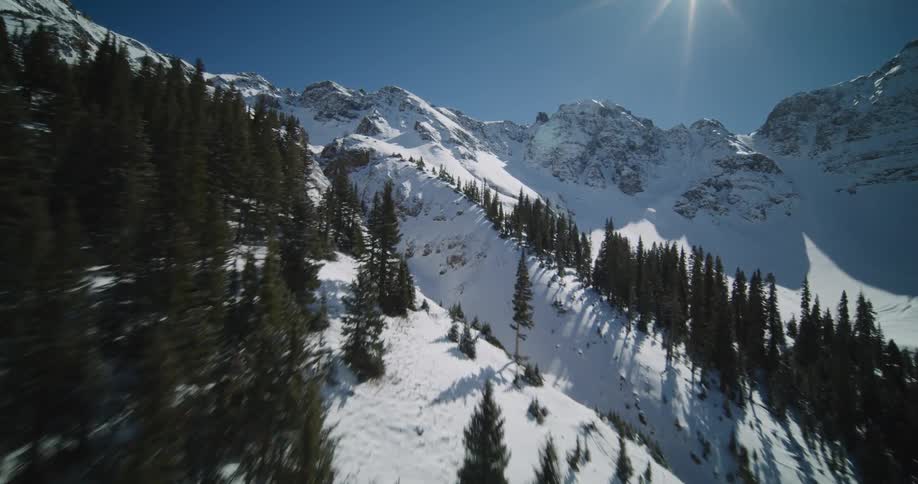 Snow covers mountains and conifer forest under bright sun