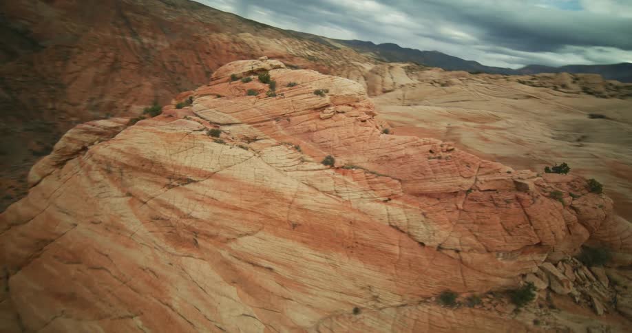 A spattering of trees grows along the slope of a steep canyon