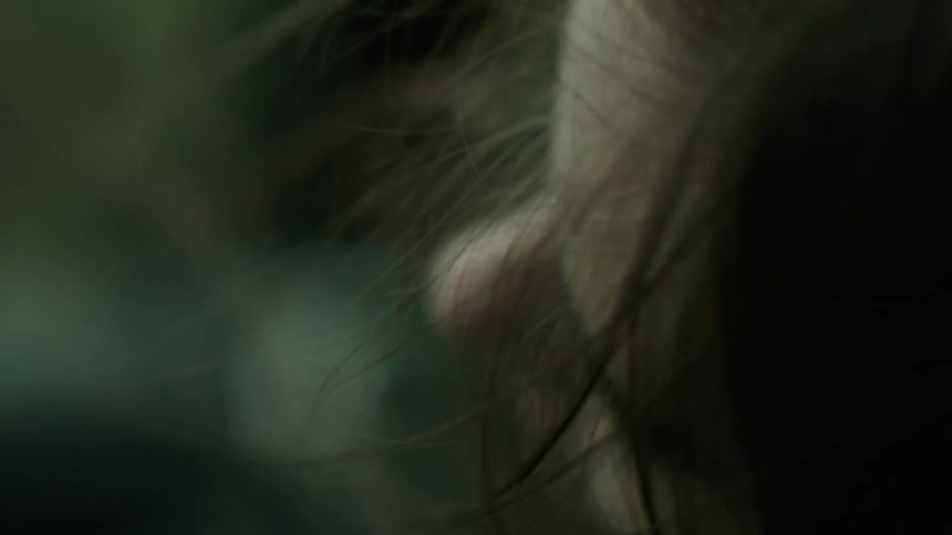 The breeze blows a woman's hair