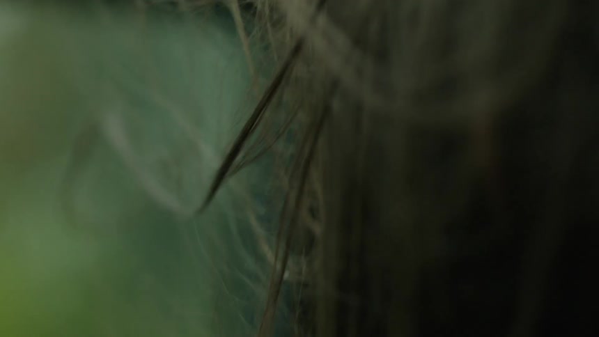 A person's hair blowing in the wind