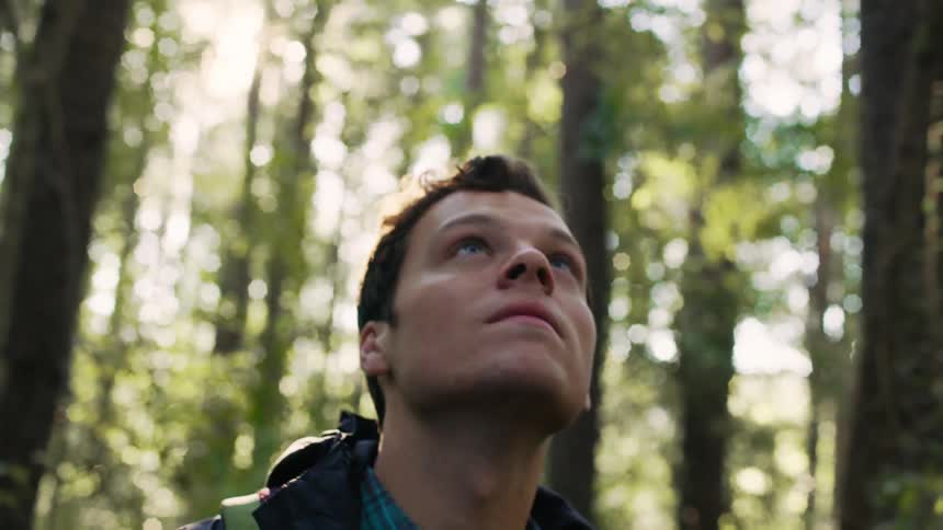 Young man in a forest looks up at the trees