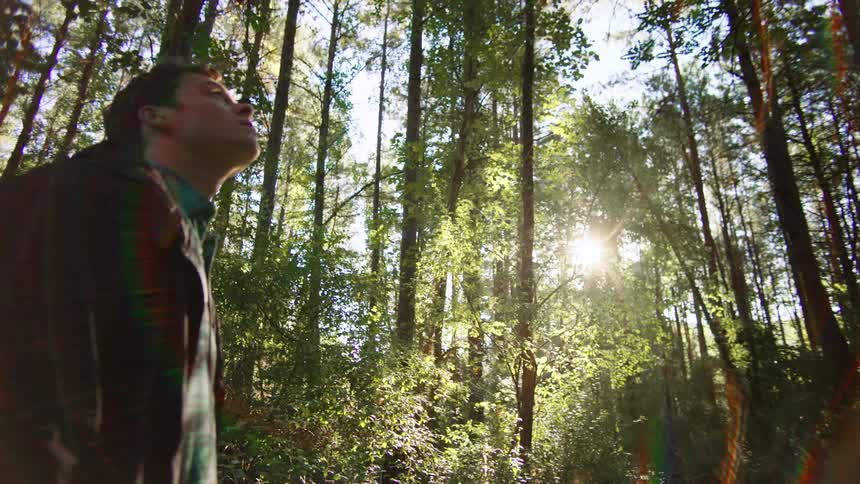 Young man in the woods on a bright sunny day
