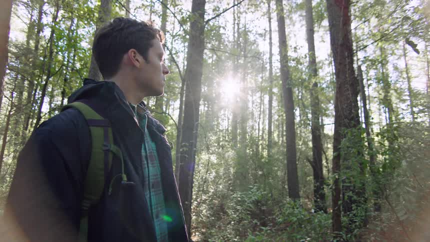 Young man hiking alone in a forest on a cold sunny day