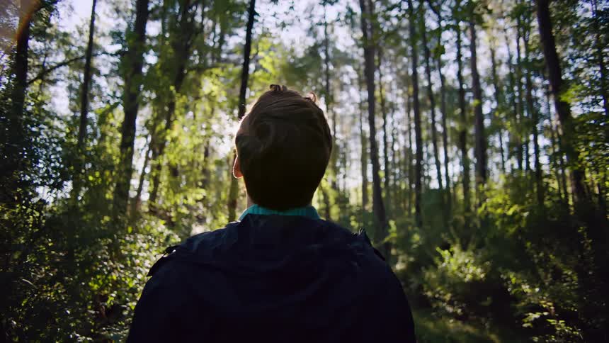 Young man stands in forest in the morning