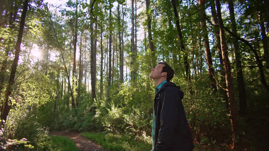 Young man walking in forest, surrounded by a sunlight halo in morning