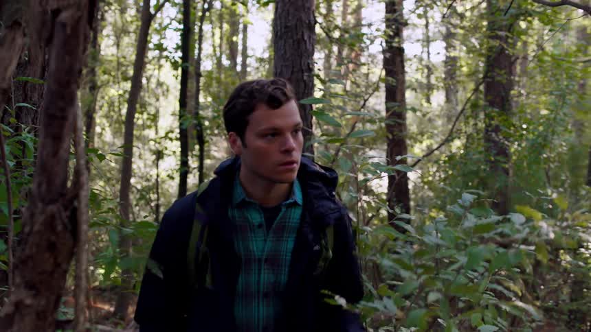 Young man hiking in the woods