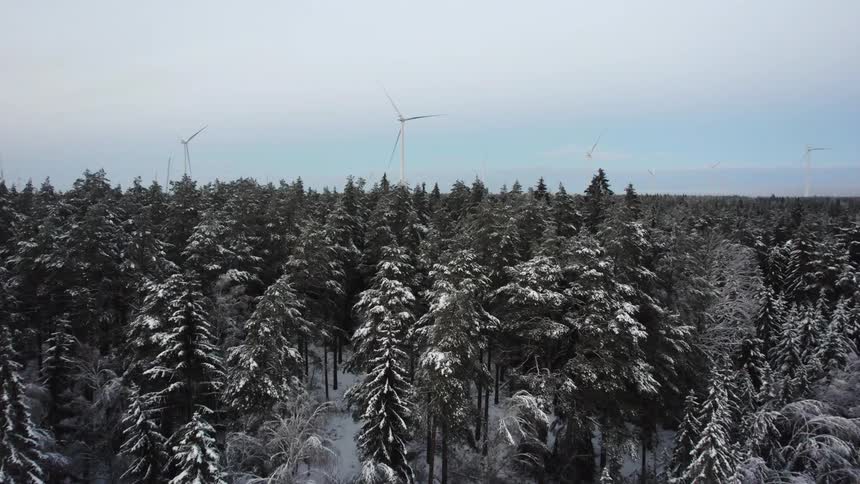 Snow covered forest with wind turbines high above the trees