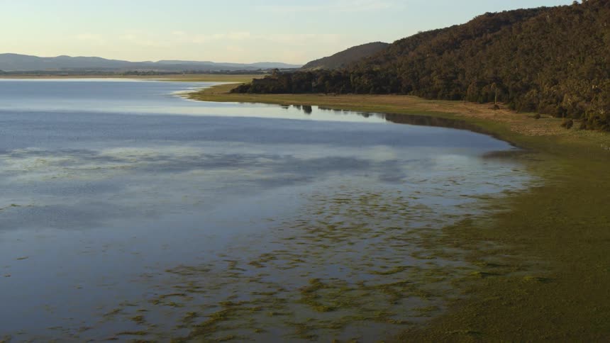 Aerial view of shoreline lake with mountain forest
