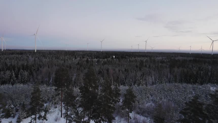 Snow covers ground of forest stretching toward wind farm