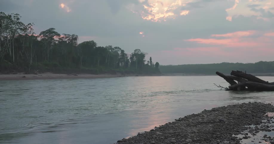 A broken tree is in the water as the river flows with rocks along the shore and a forest on the other side under a cloudy sky