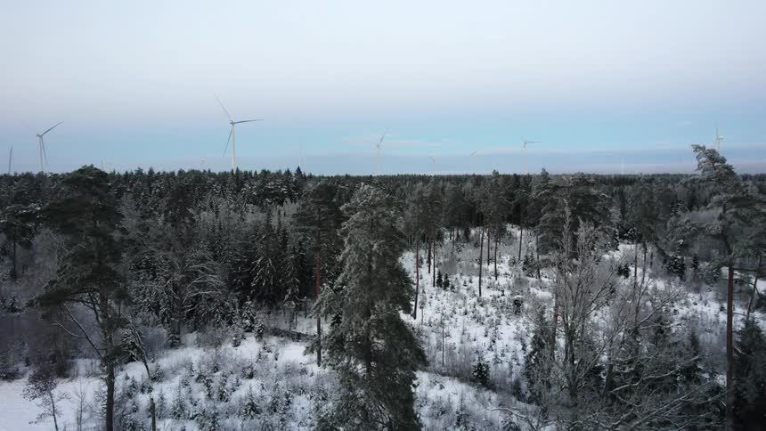A snow covered forest with wind turbines high above the trees