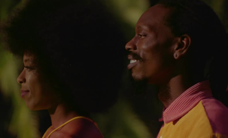 Side view of female dancer with curly hair and yellow dress and man with braids and pink yellow shirt standing in front of trees on grass at night