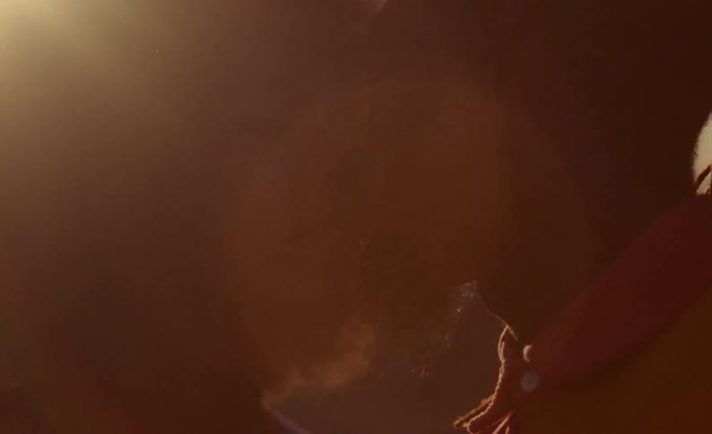 Couple kisses back lit by hair