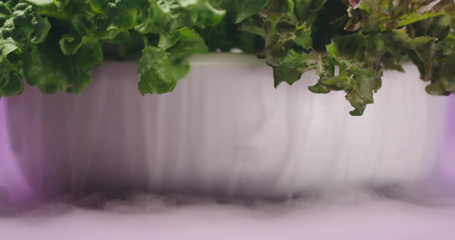 Vapor moves around lettuce sitting in white ceramic bowl